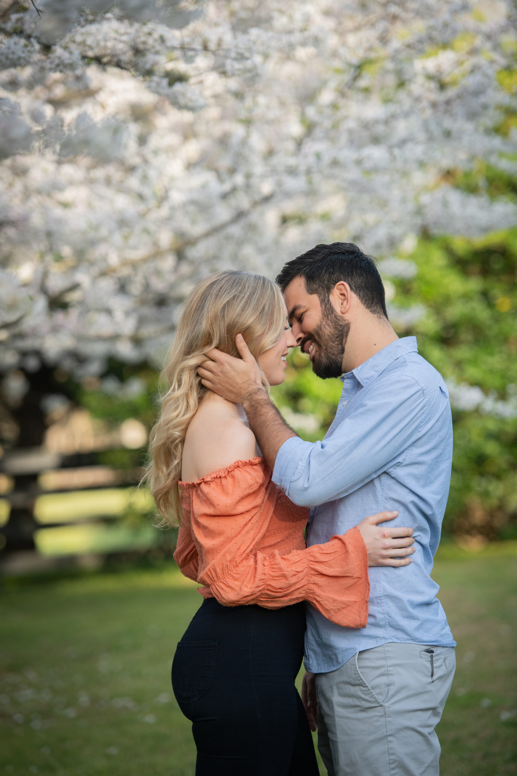couple kissing with cherry blossoms