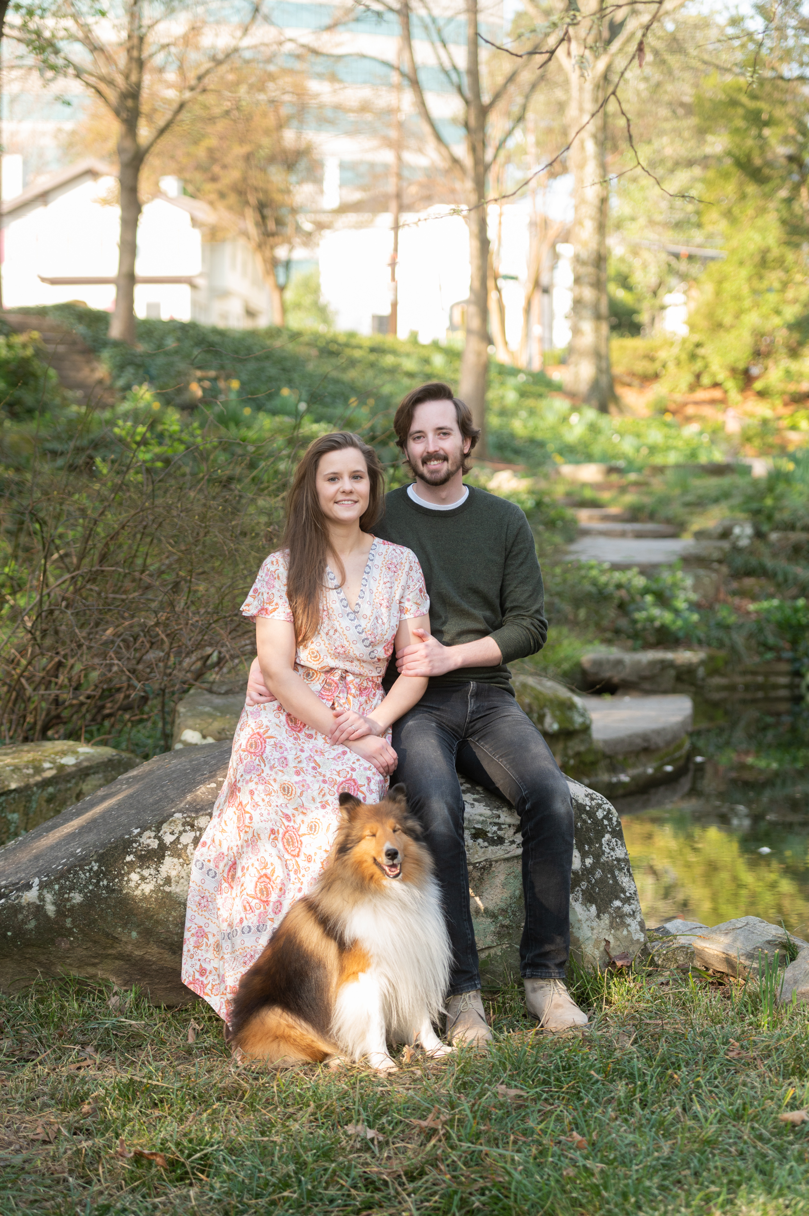 sheltie with couple