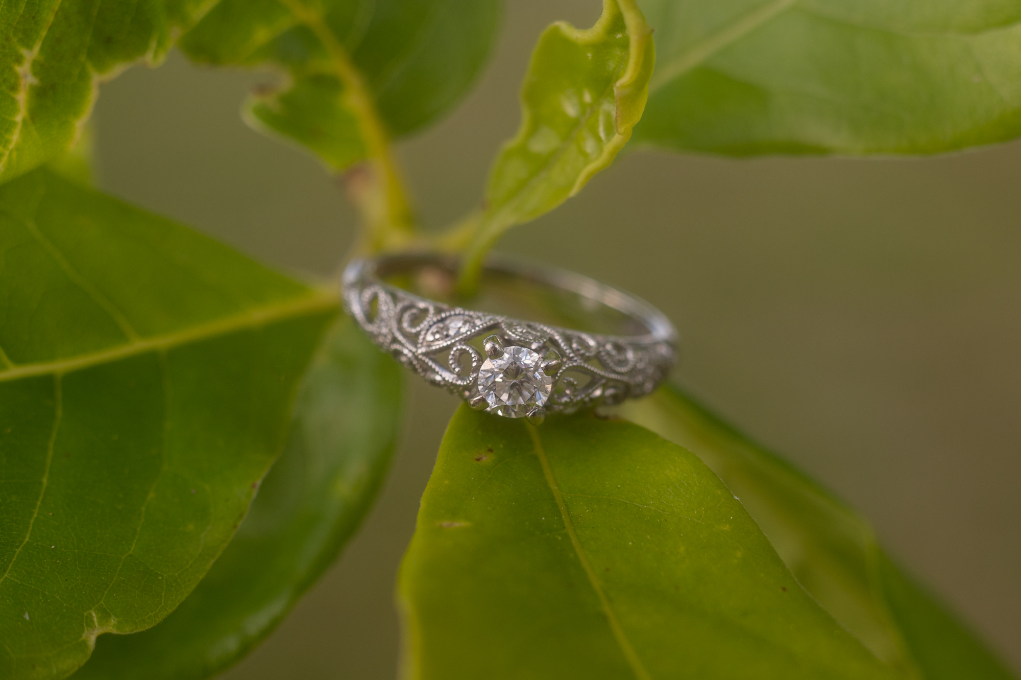 engagement ring on leaf