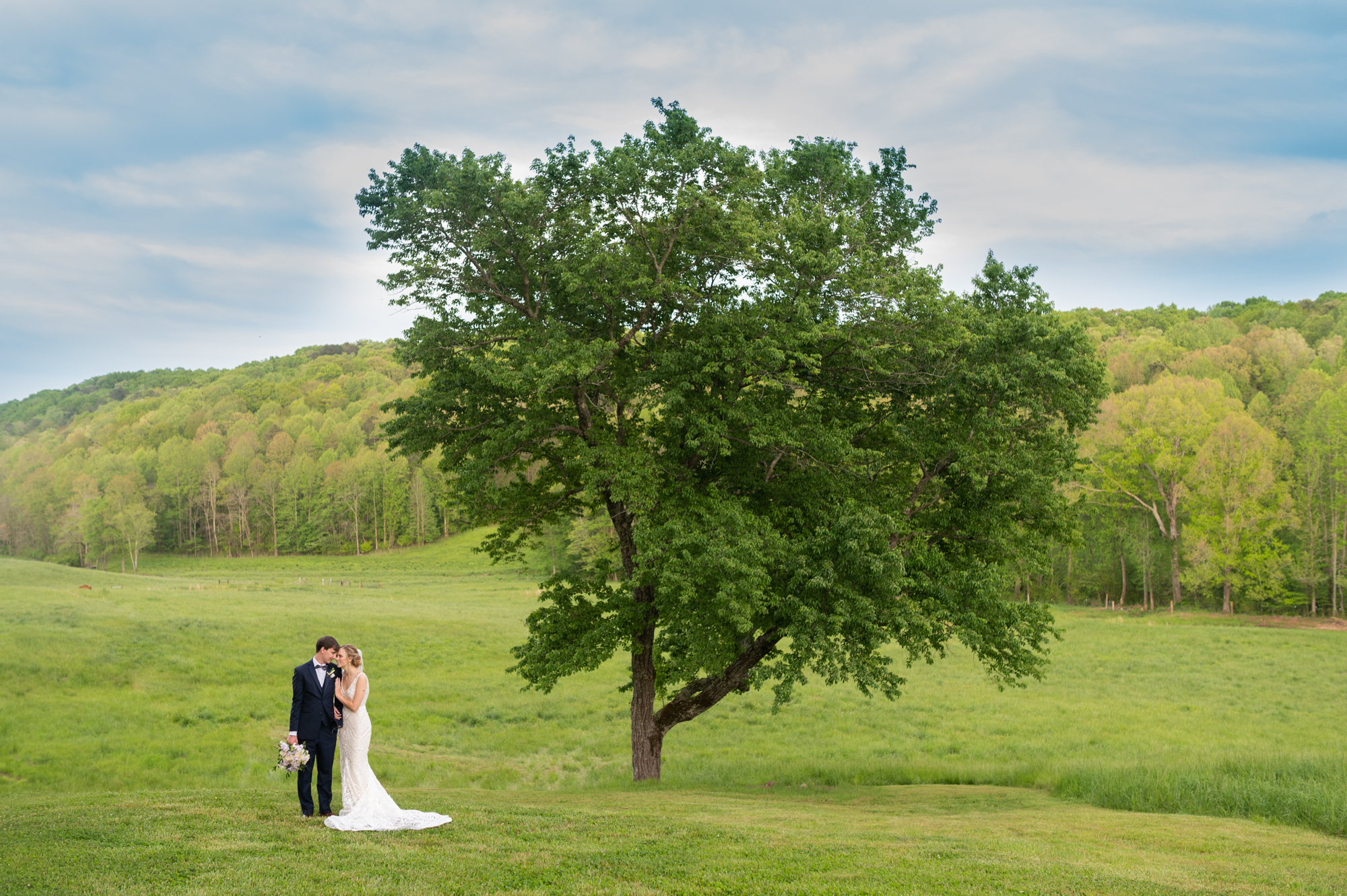 Greystone Estate wedding tree