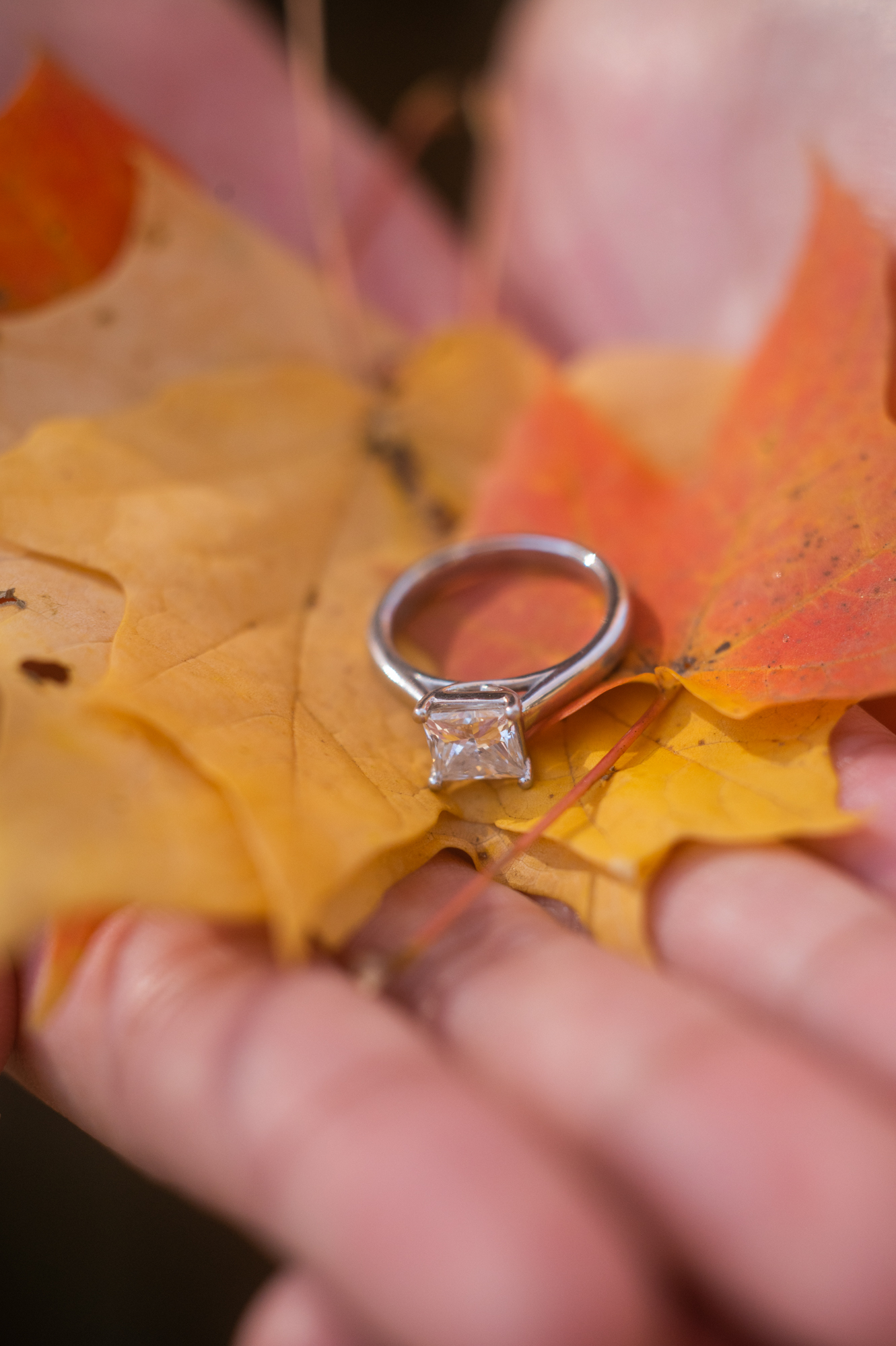 engagement ring in fall flowers