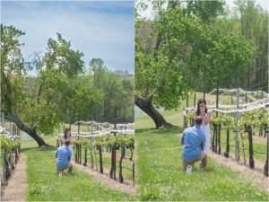 Montaluce winery proposal