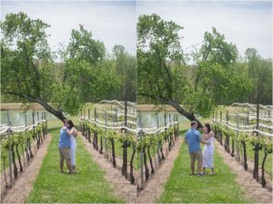 Montaluce winery proposal