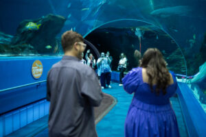 Atlanta proposal photographer, Atlanta proposal photography, best Atlanta proposal photographer, Atlanta proposal location, Atlanta proposal, Georgia Aquarium proposal, Georgia Aquarium proposal photographer, Georgia Aquarium engagement photos, Georgia Aquarium engagement