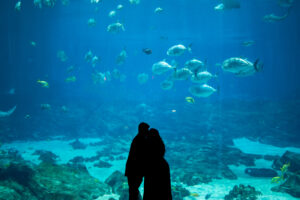 Atlanta proposal photographer, Atlanta proposal photography, best Atlanta proposal photographer, Atlanta proposal location, Atlanta proposal, Georgia Aquarium proposal, Georgia Aquarium proposal photographer, Georgia Aquarium engagement photos, Georgia Aquarium engagement