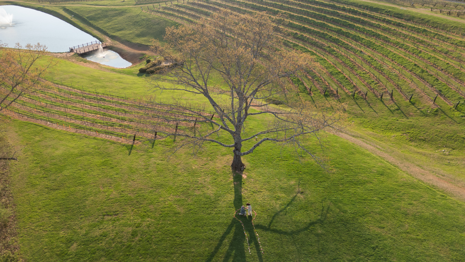 Atlanta proposal photographer, Atlanta proposal photography, best Atlanta proposal photographer, Atlanta proposal location, Atlanta proposal, North Georgia proposal, North Georgia proposal location, North Georgia proposal photographer, Montaluce proposal, Montaluce Winery proposal, Montaluce proposal photographer